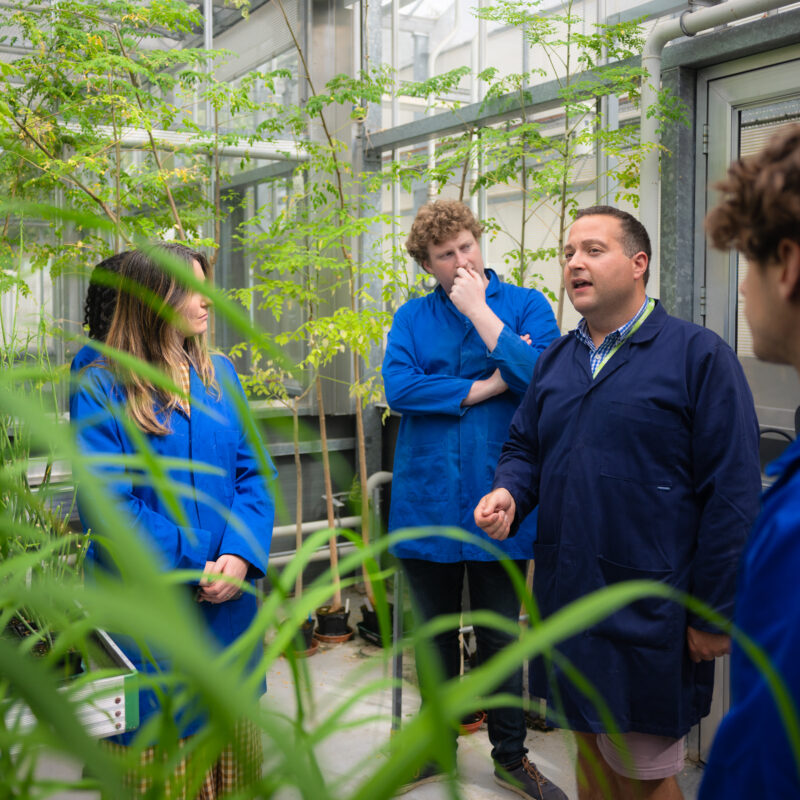 Researchers in growing lab