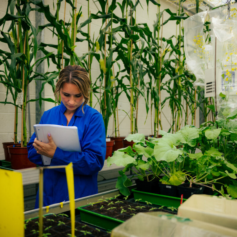 Researcher with clipboard in plant greenhouse